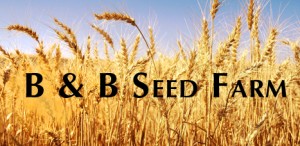 B & B Seed Farm
