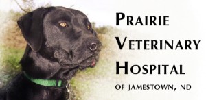 Prairie Veterinary Hospital