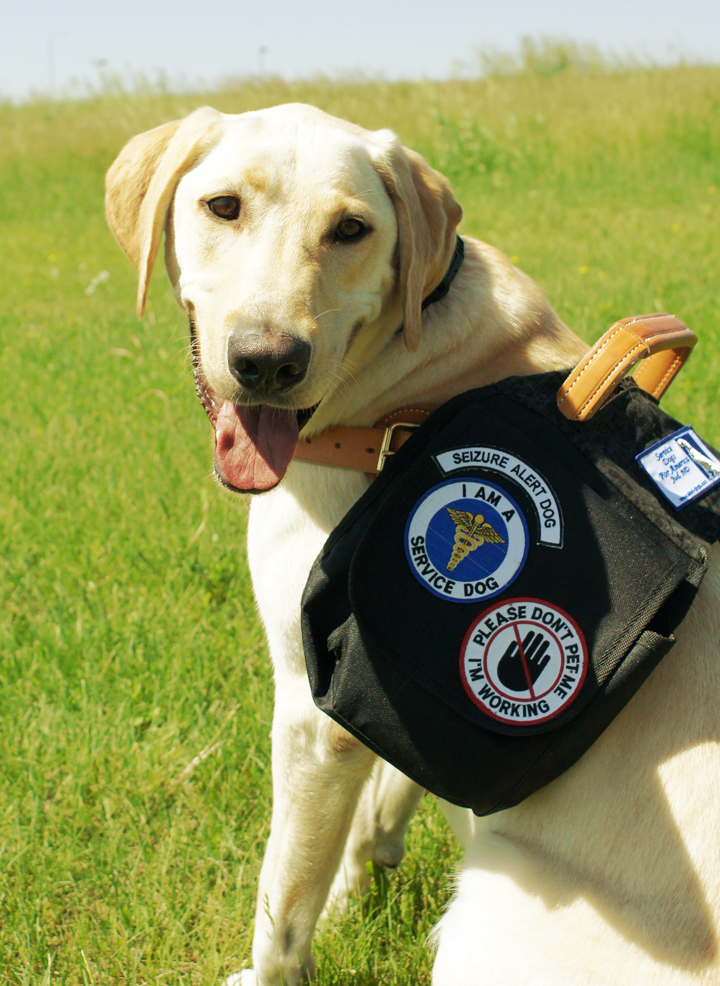 Service Dogs for America Emergency Medical Response Dogs