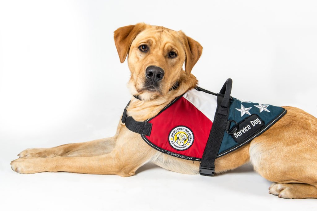 Service Dogs for America